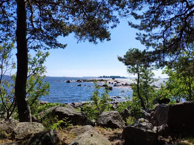 Photo from 16 June 2019