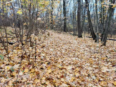 Ozëry, Russia — 12 October 2019
