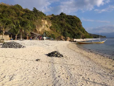 Photo from 23 February 2019
