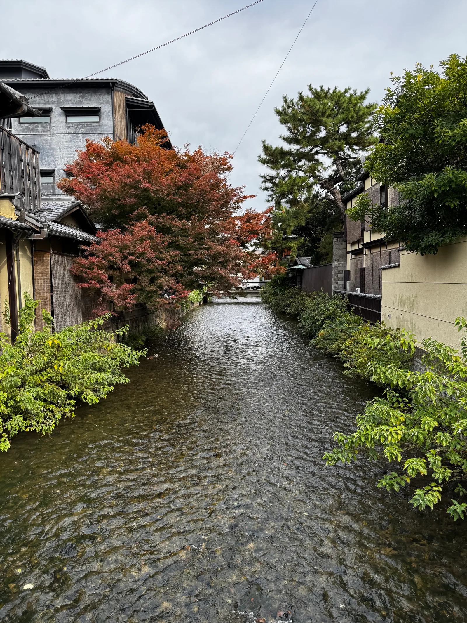 Kyoto, Japan — 27 November 2024
