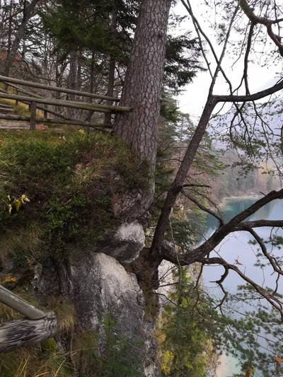 Photo from 8 November 2018
