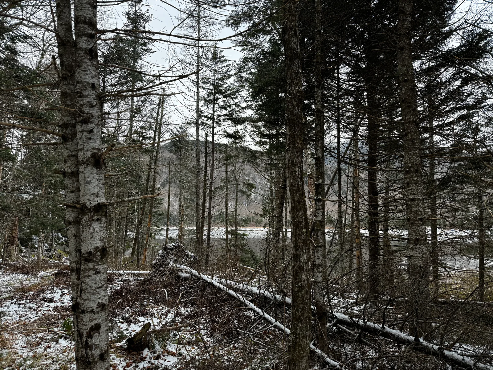 Deerfield, United States — 11 November 2023