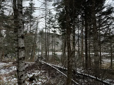 Deerfield, United States — 11 November 2023