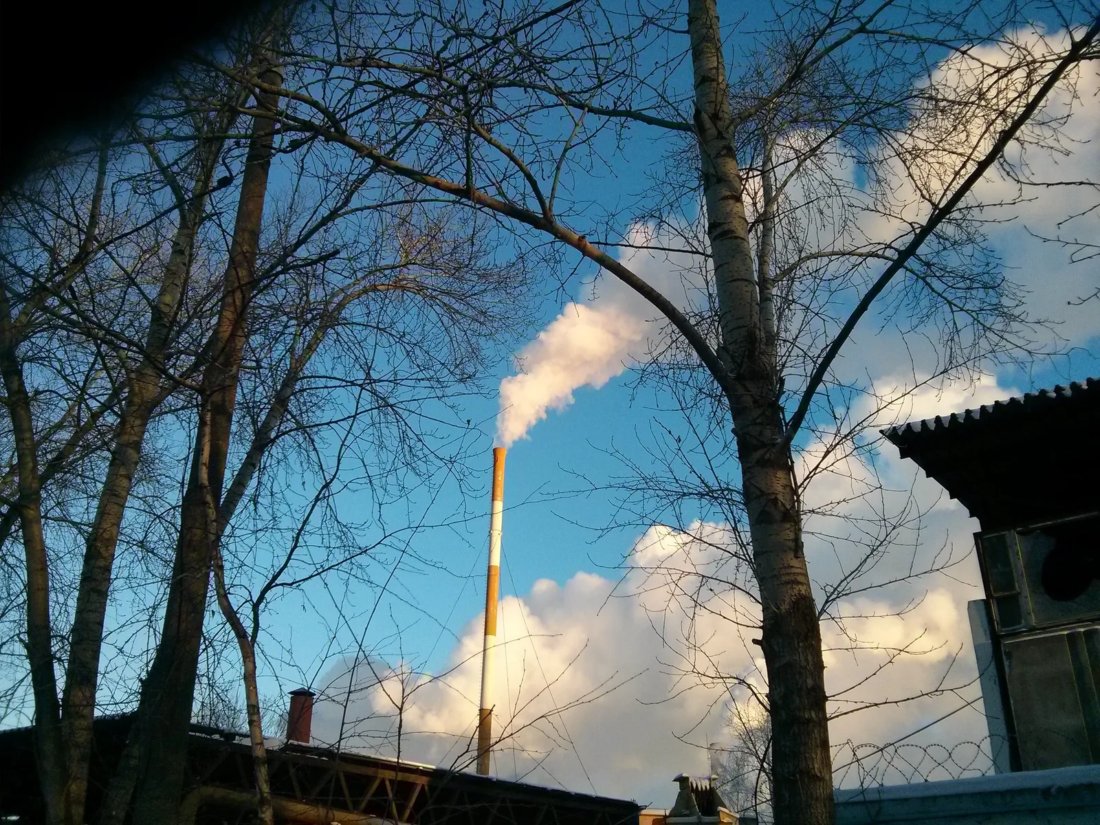 Photo from 21 January 2014