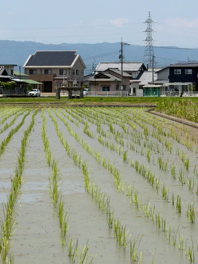 Hayashima, Japan — 13 June 2026