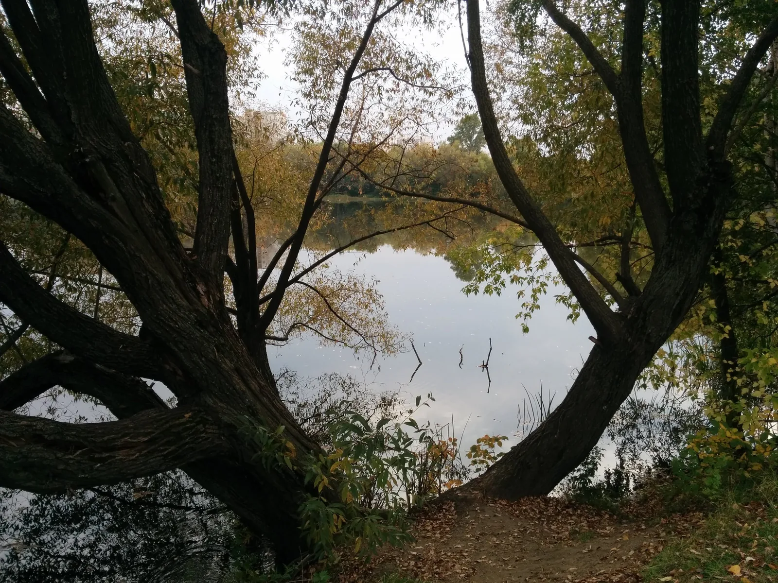 Photo from 20 September 2015