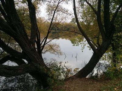 Photo from 20 September 2015