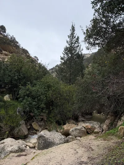 Pégeia, Cyprus — 29 January 2026