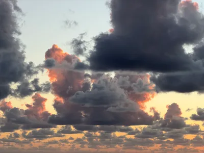 Paphos, Cyprus — 30 November 2025