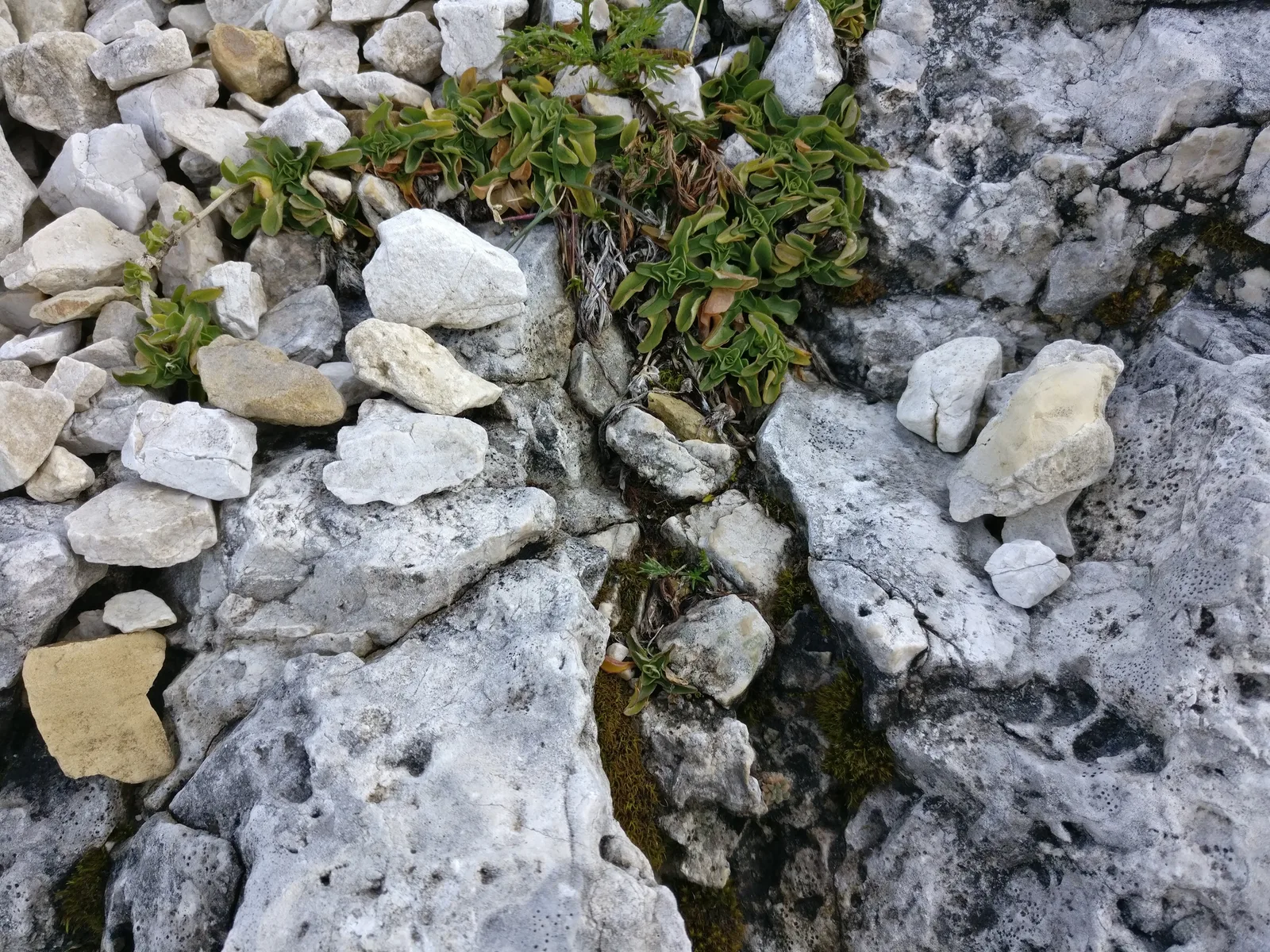 Vigo di Fassa, Italy — 22 September 2017