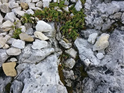 Vigo di Fassa, Italy — 22 September 2017