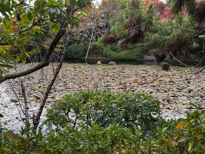 Kyoto, Japan — 24 November 2024