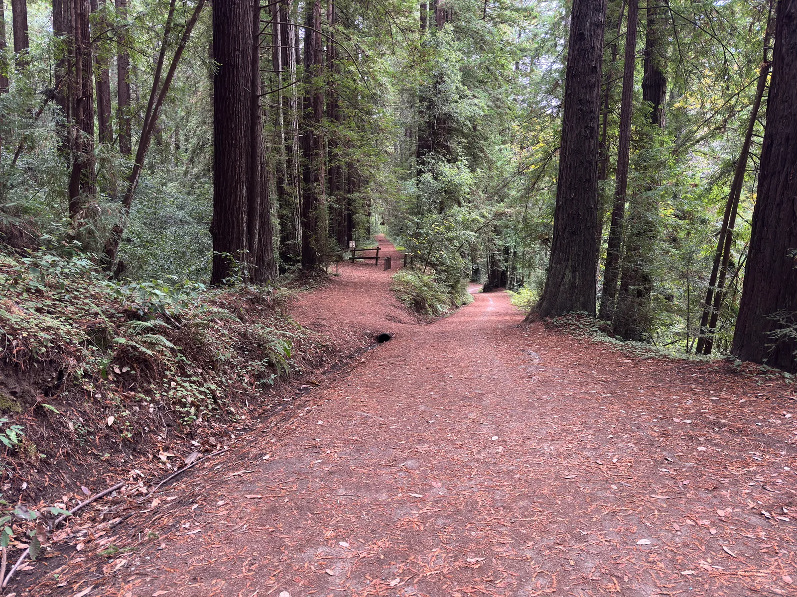 Day Valley, United States — 22 October 2025