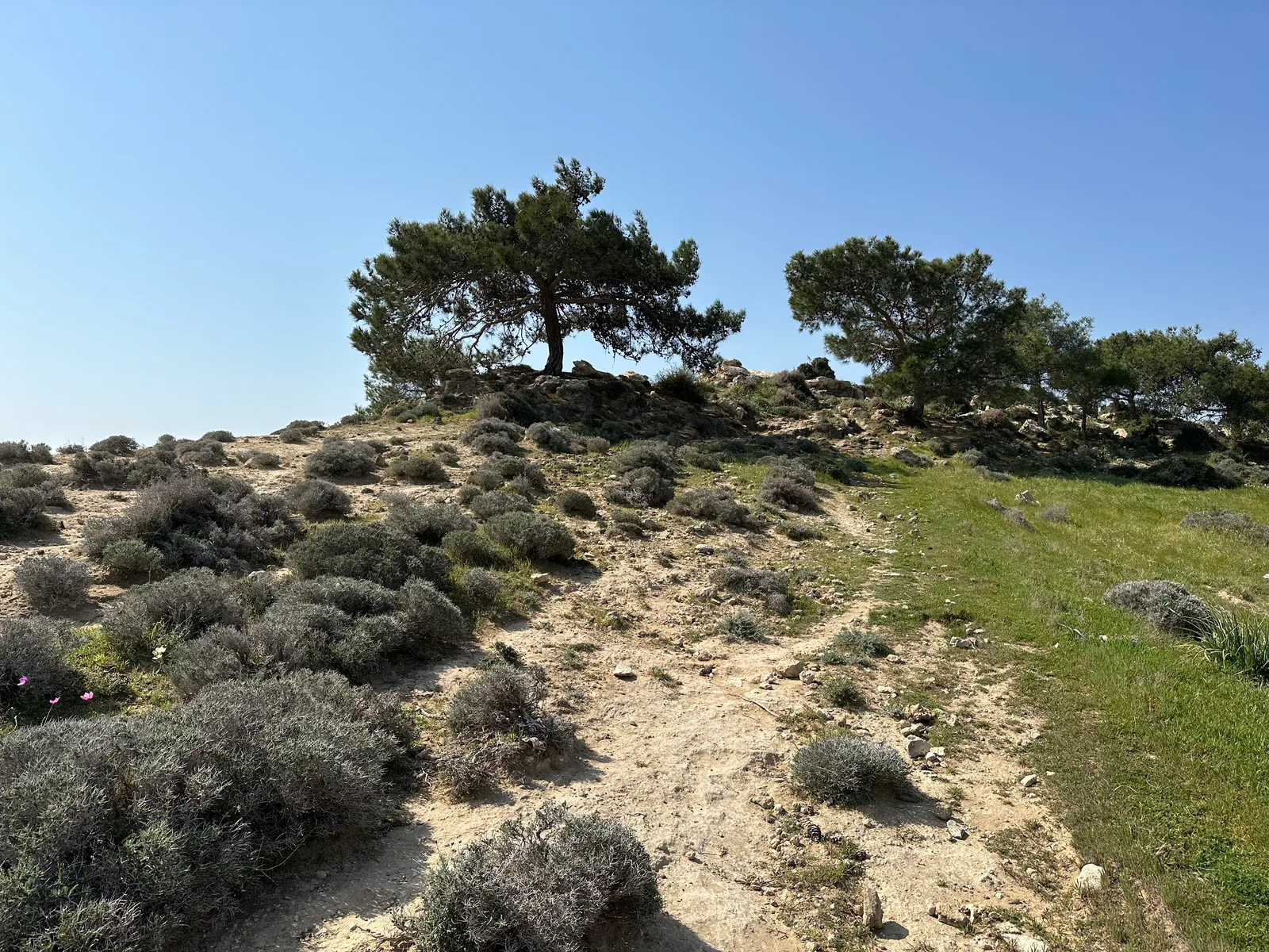 Pissoúri, Cyprus — 3 March 2023