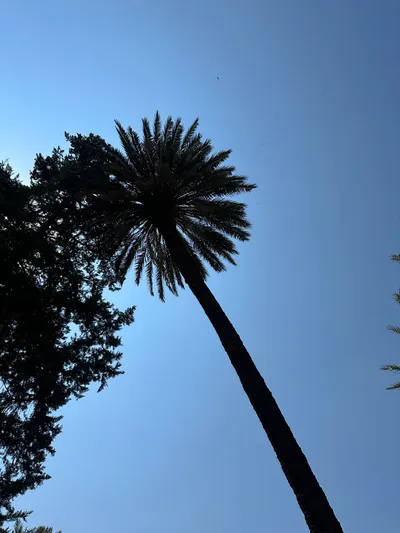 Nicosia, Cyprus — 17 June 2023