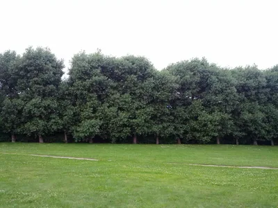 Photo from 15 June 2013