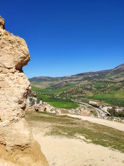 Photo from 14 March 2019