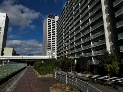 Ajiharacho, Japan — 23 November 2024