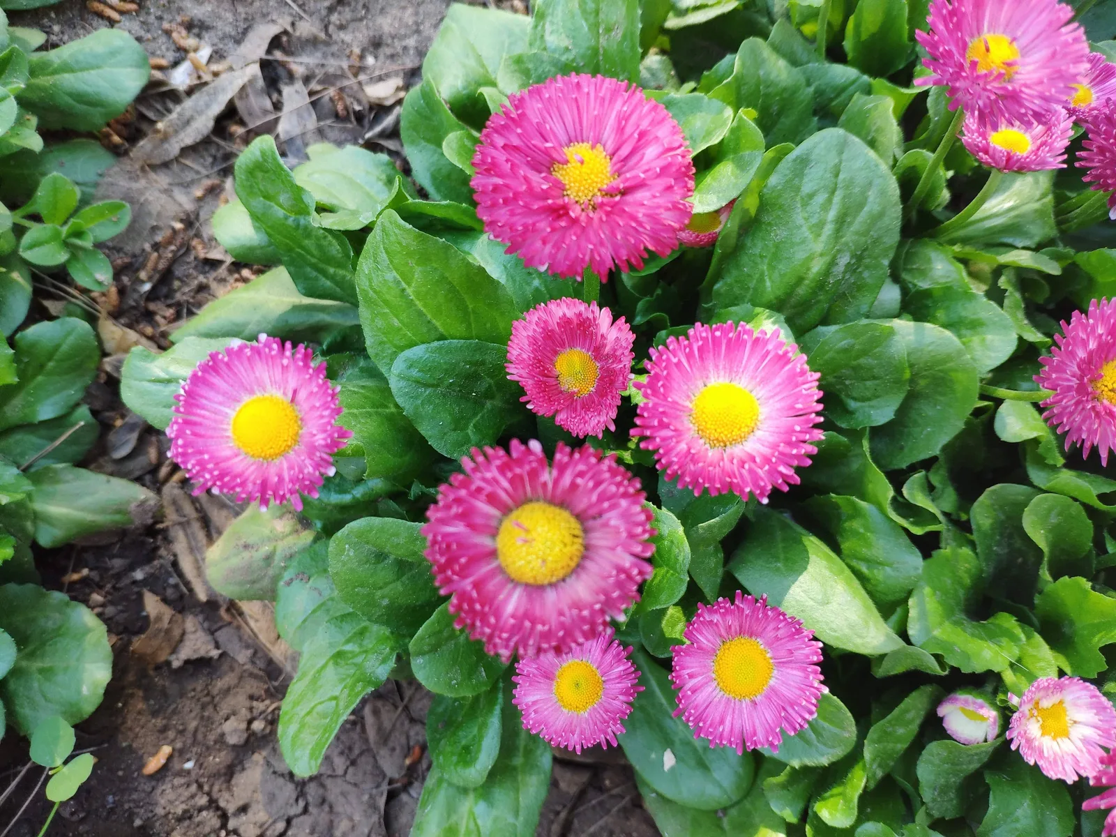 Photo from 14 March 2019