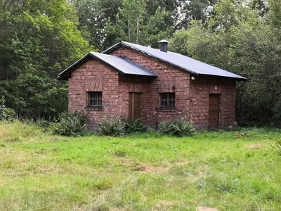 Photo from 3 August 2019