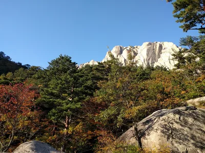 Toseong, South Korea — 19 October 2016