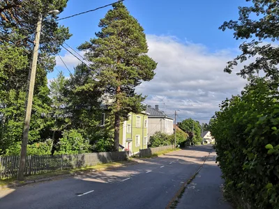 Photo from 15 June 2019