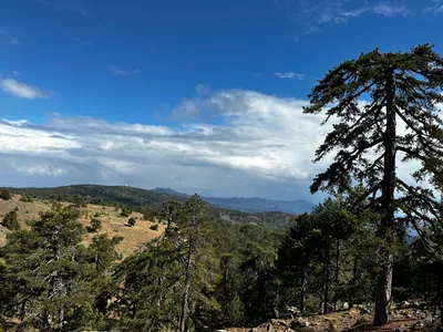 Tróodos, Cyprus — 15 October 2023