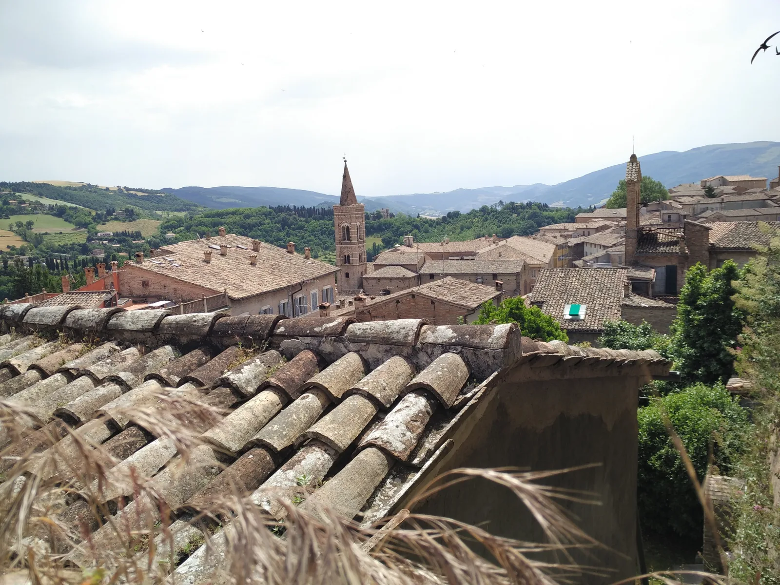 Urbino, Italy — 16 June 2016