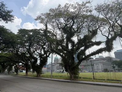 Singapore — 18 July 2026