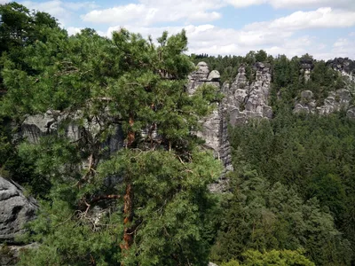 Stadt Wehlen, Germany — 23 July 2015