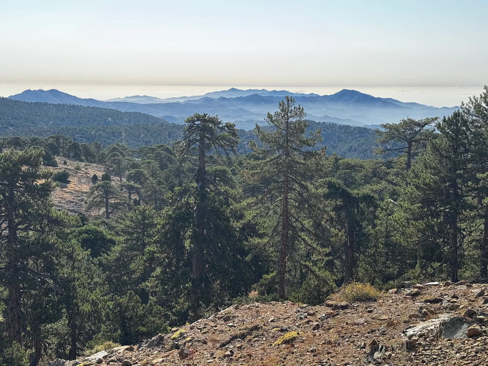 Tróodos, Cyprus — 30 July 2025