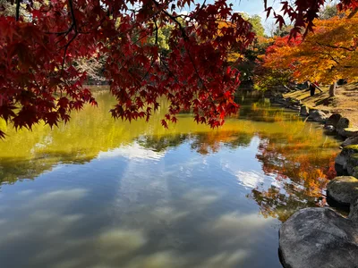 Nara-shi, Japan — 25 November 2024