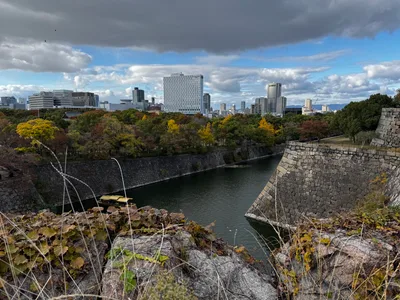 Ajiharacho, Japan — 23 November 2024