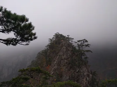 Sokcho, South Korea — 20 October 2016