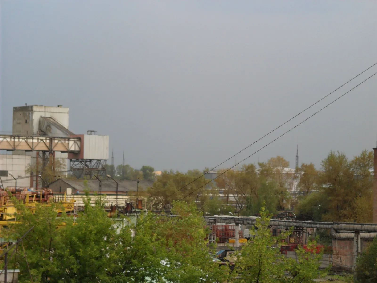 Photo from 20 July 2010