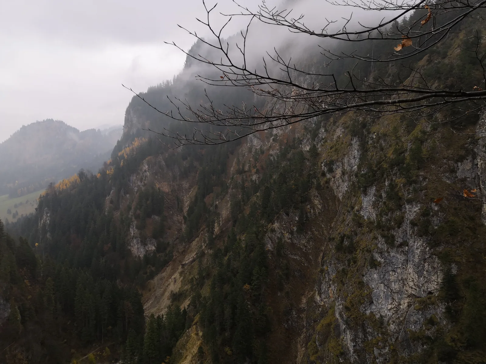 Photo from 8 November 2018