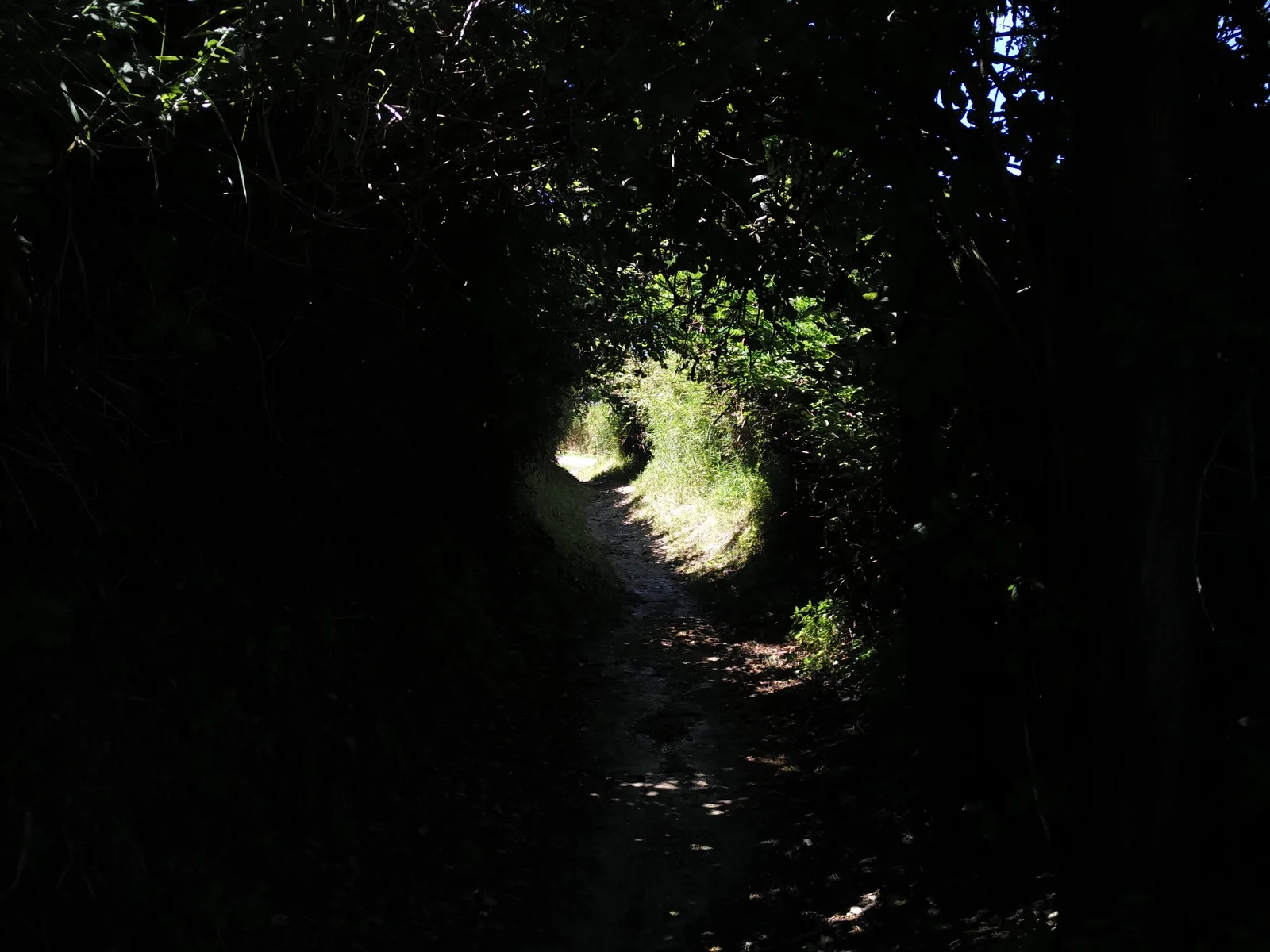 Gradara, Italy — 13 June 2016