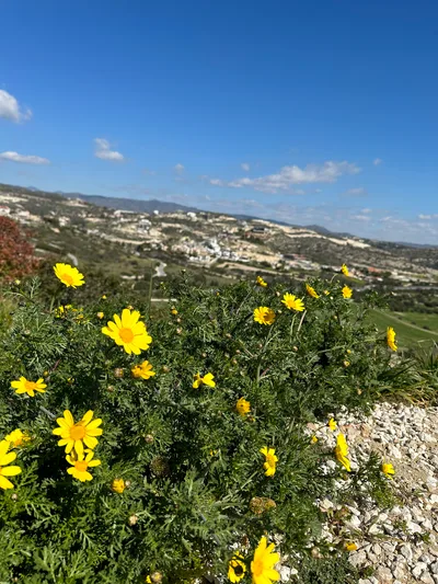 Ágios Týchon, Cyprus — 18 February 2023