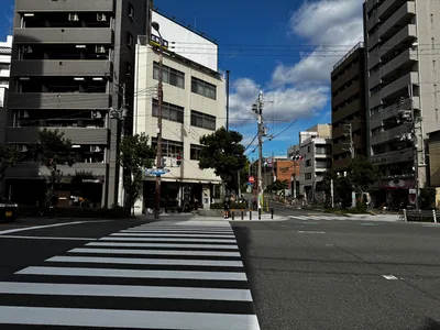 Ajiharacho, Japan — 23 November 2024