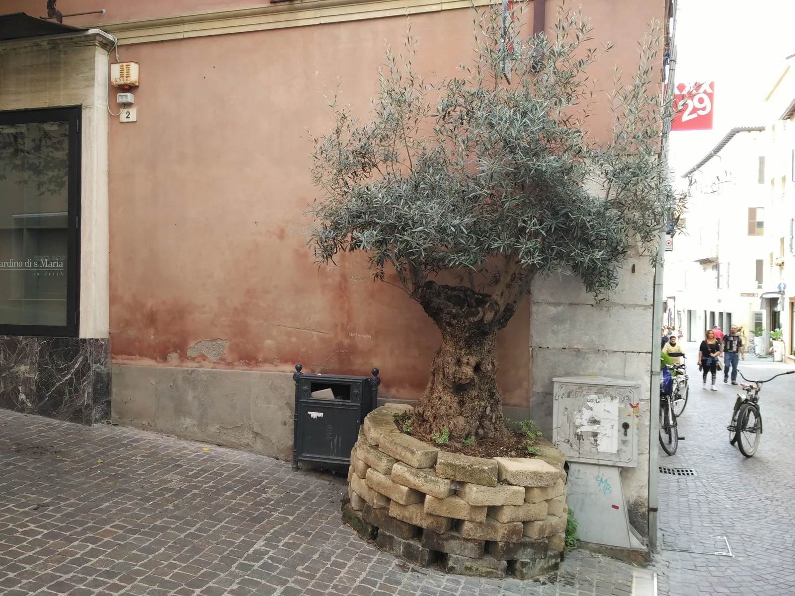 Pesaro, Italy — 16 June 2016