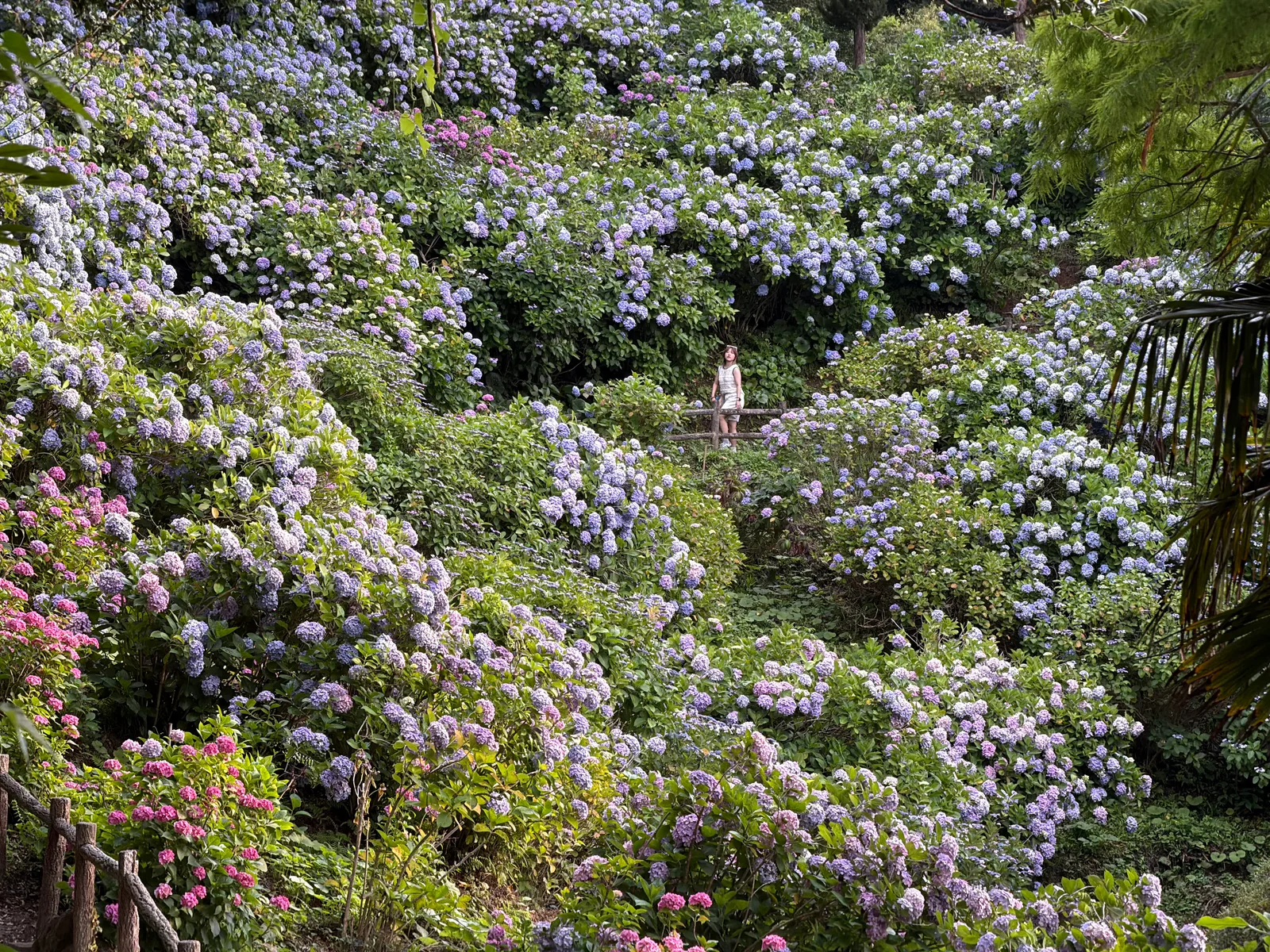 Shimoda, Japan — 19 June 2026