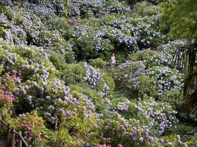 Shimoda, Japan — 19 June 2026