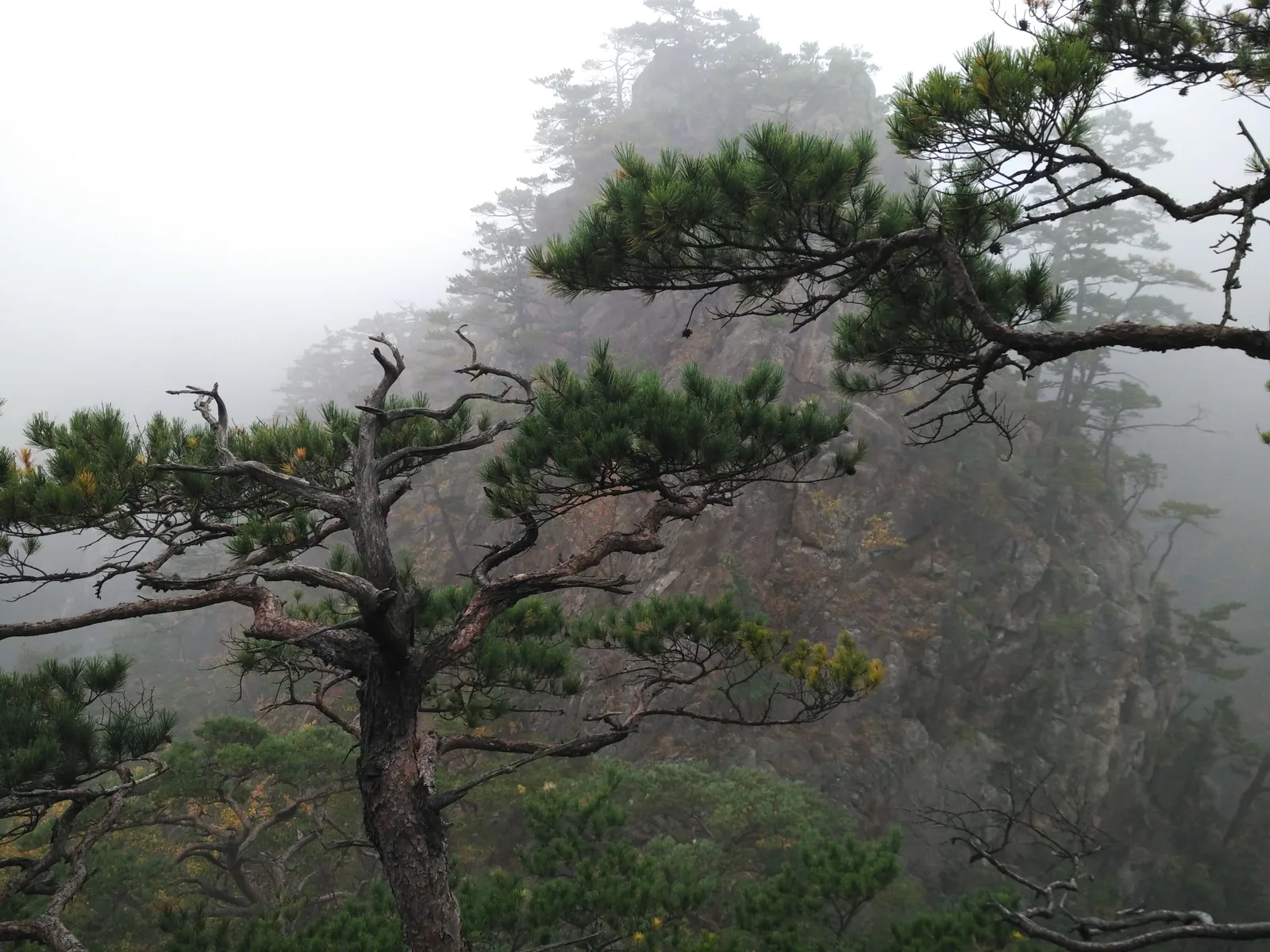 Sokcho, South Korea — 20 October 2016