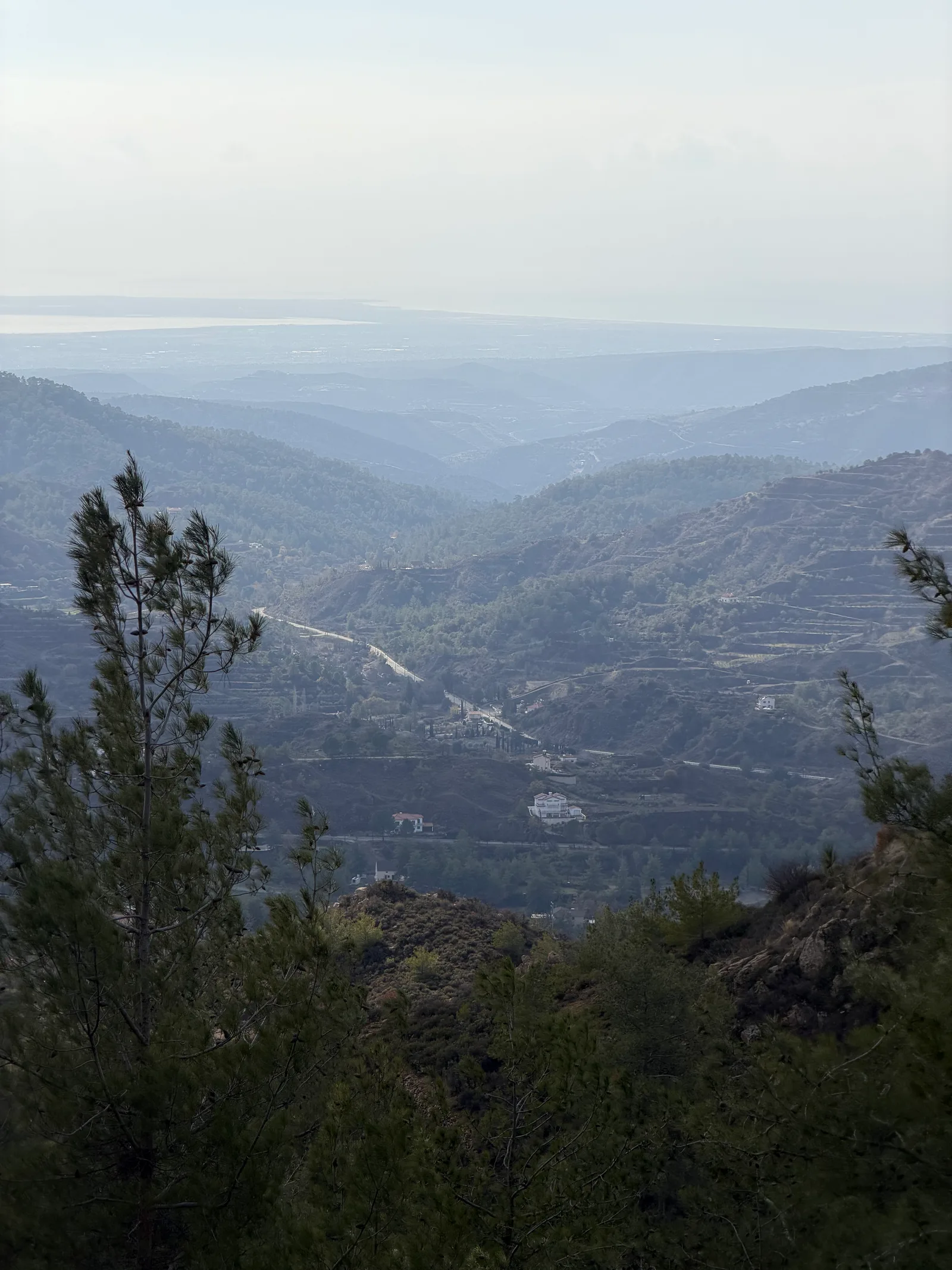 Peléndri, Cyprus — 1 January 2026