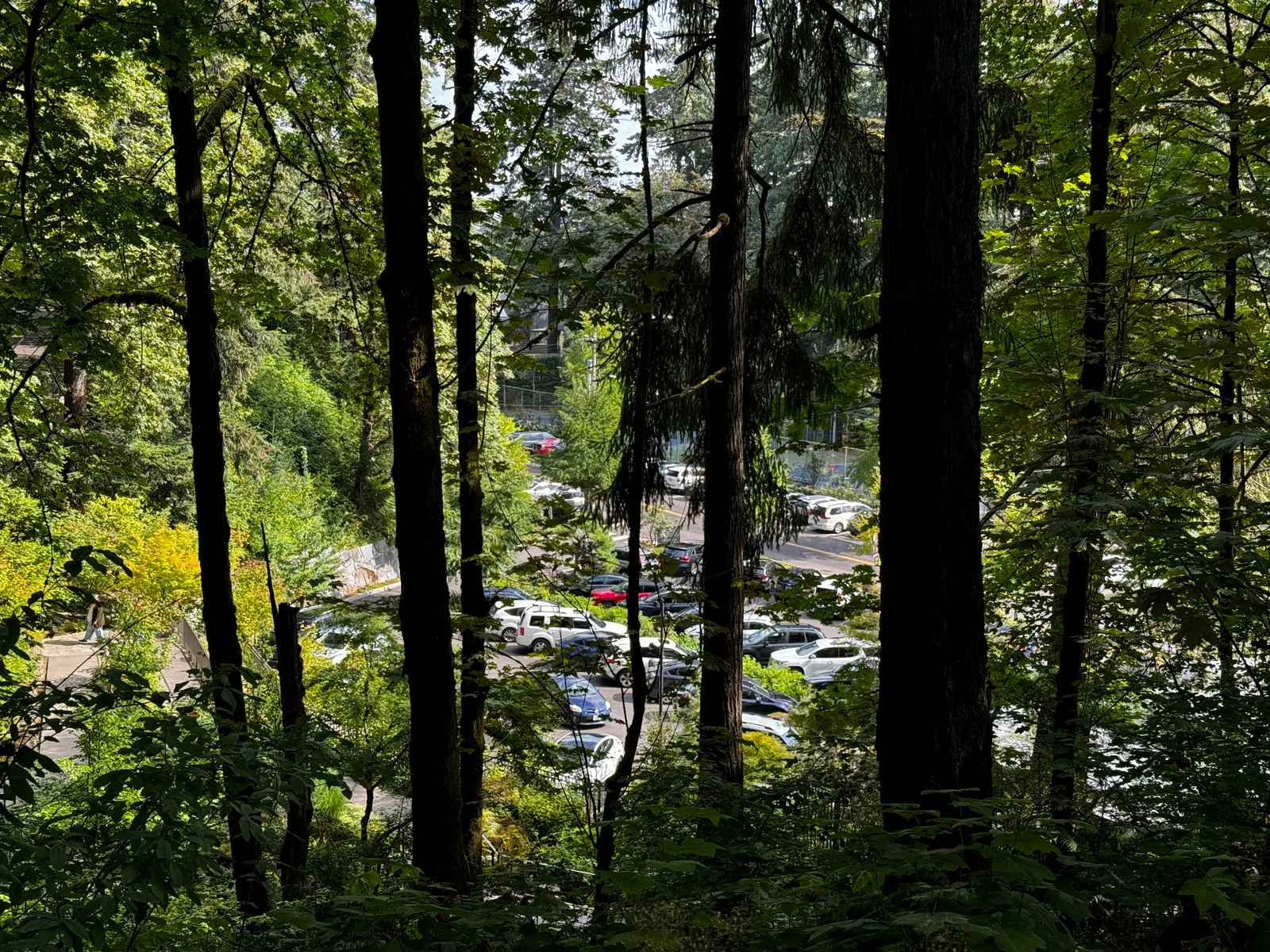 Portland, United States — 24 August 2024