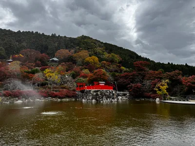 Minoh, Japan — 26 November 2024
