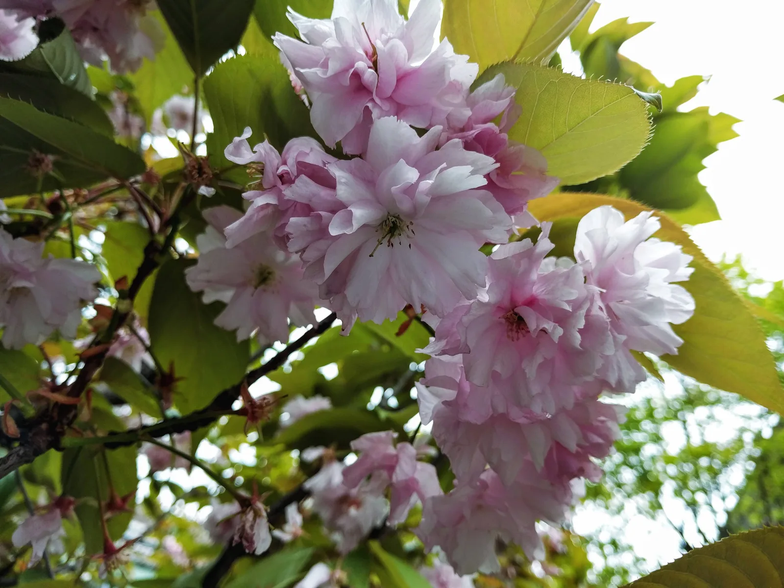Photo from 30 April 2016