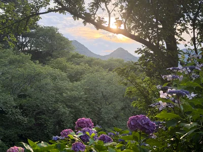 Shimoda, Japan — 19 June 2026