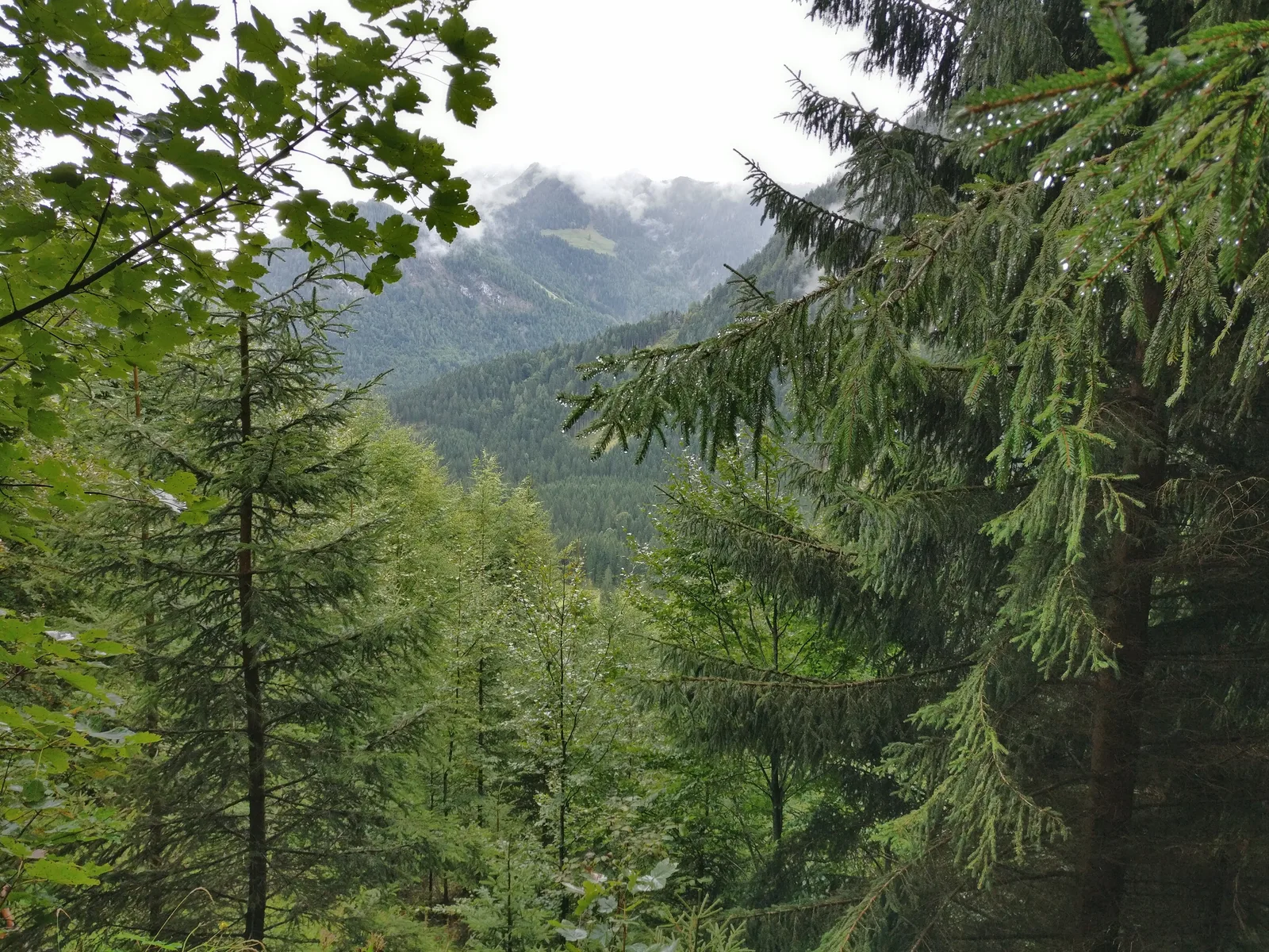 Maurach, Austria — 17 September 2017