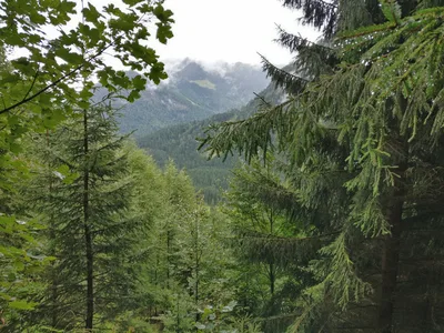 Maurach, Austria — 17 September 2017